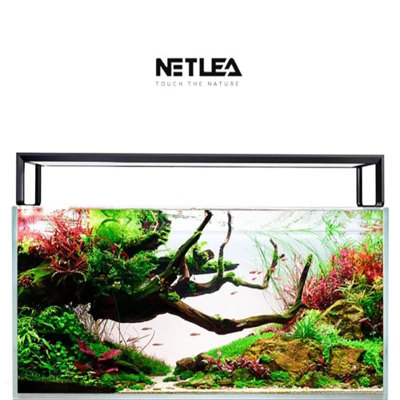 Wifi Led Dimmer - Netlea at5s v3 inteligente wifi app
